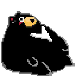 Black Bear