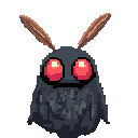 Moth